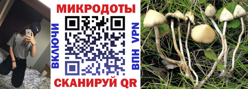 мега вход  Учалы  Галлюциногенные грибы GOLDEN TEACHER 