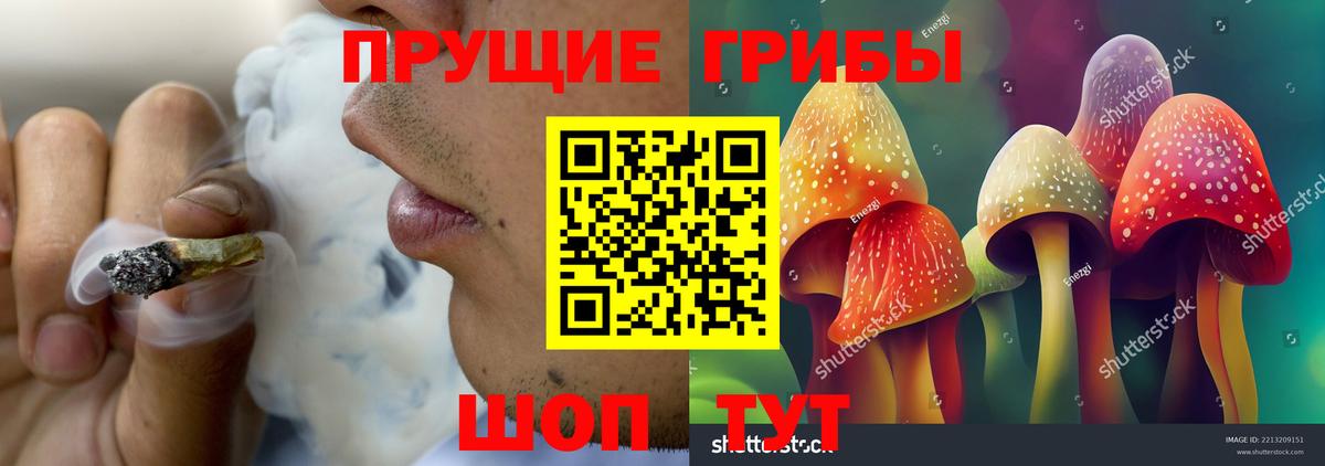 Псилоцибиновые грибы MAGIC MUSHROOMS Учалы